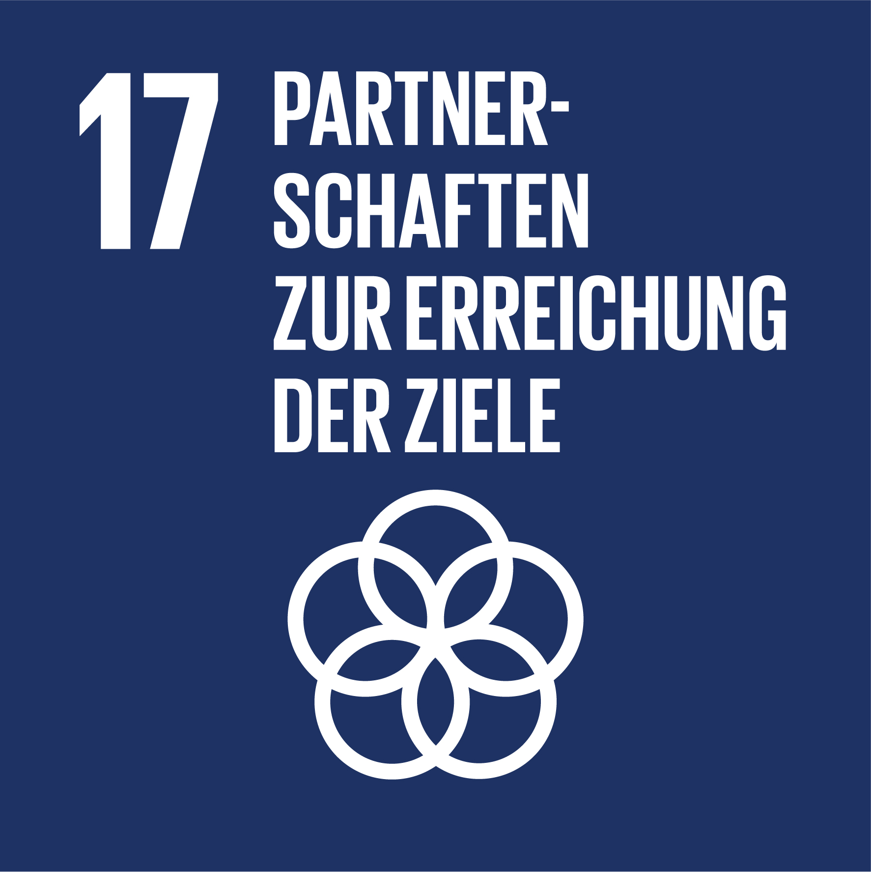 SDG-icon-DE-17 SDG-icon-DE-17